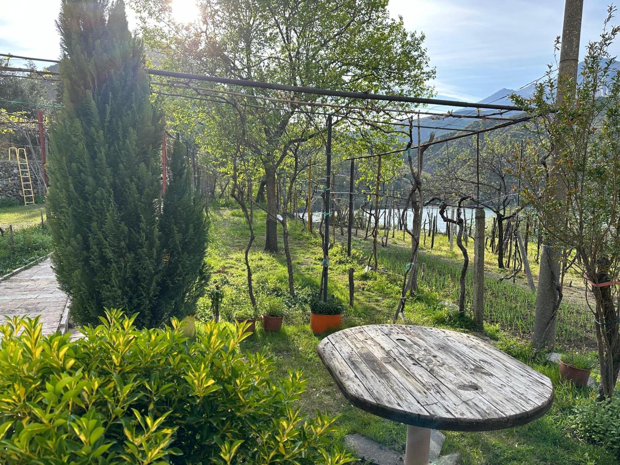 Lakeview Escape Koman Luaran gambar