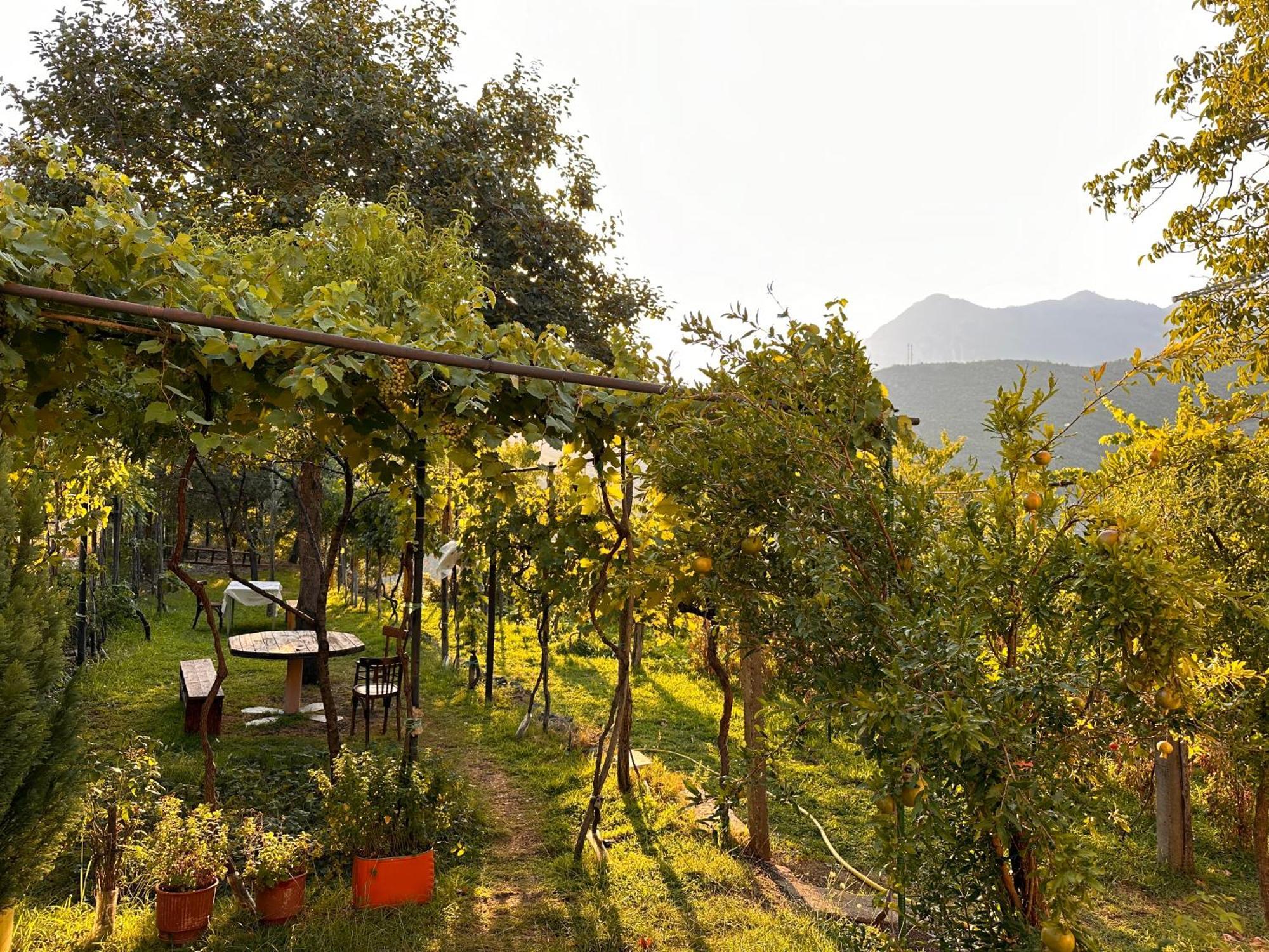 Lakeview Escape Koman Luaran gambar