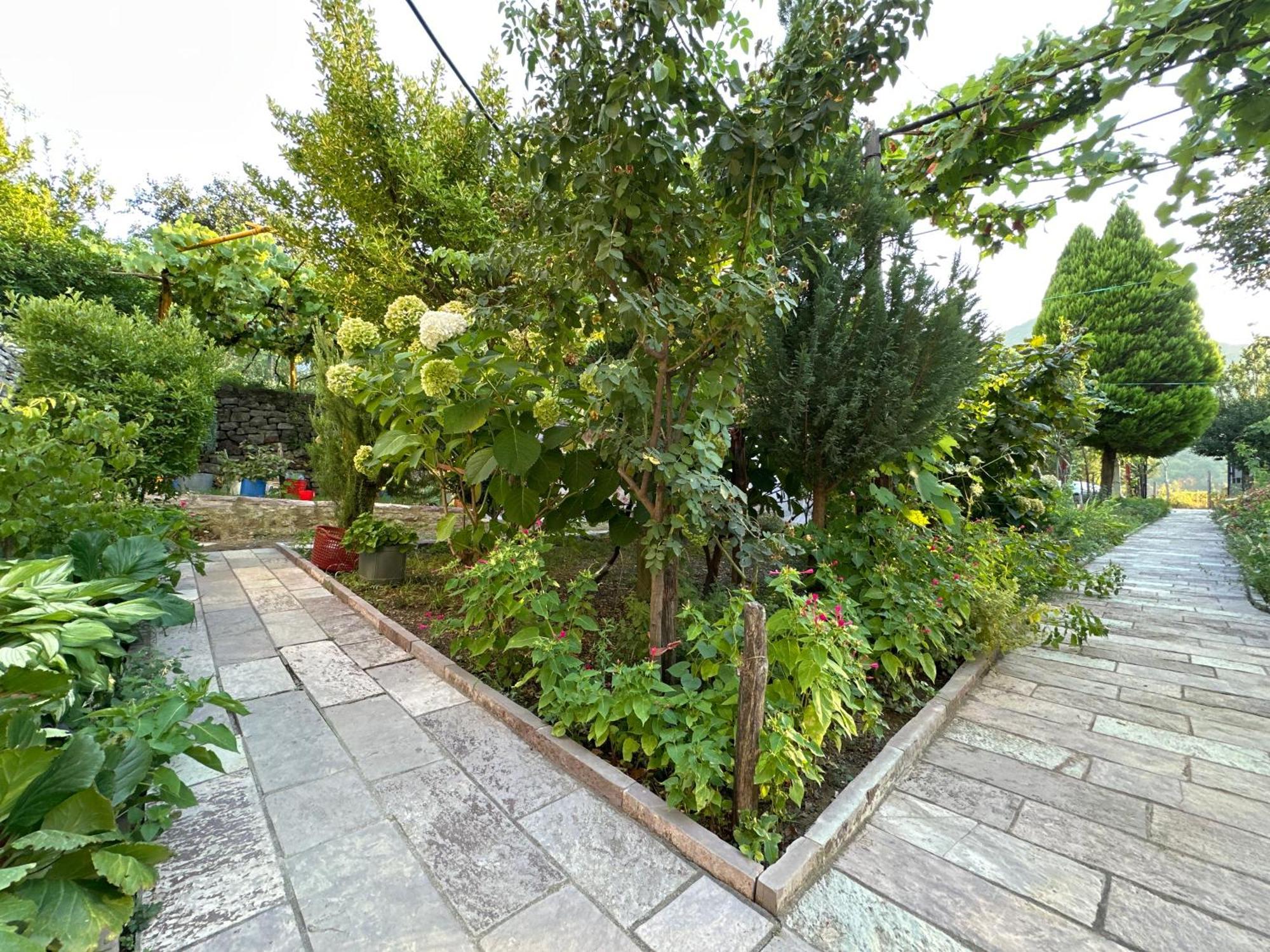 Lakeview Escape Koman Luaran gambar